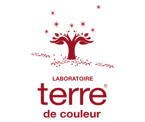 logoTerredeCouleur